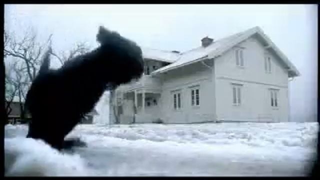 Audi Quattro, "The Dog" смотреть онлайн