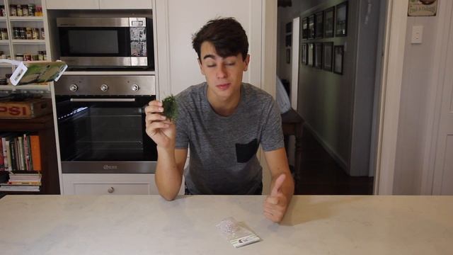 How to Easily Make a Moss Ball for Your Aquarium смотреть онлайн