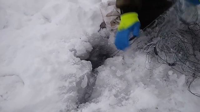 Огромные судаки в диких местах на сетки. смотреть онлайн