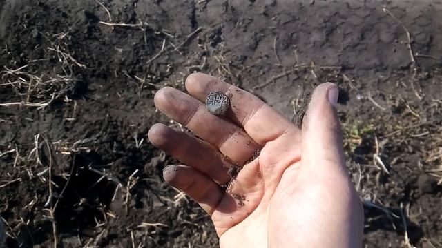 Распаханный КЛАД ЗОЛОТОЙ ОРДЫ! У меня тряслись руки!! КОП смотреть онлайн
