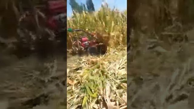 Макка уриш +996555550533 смотреть онлайн