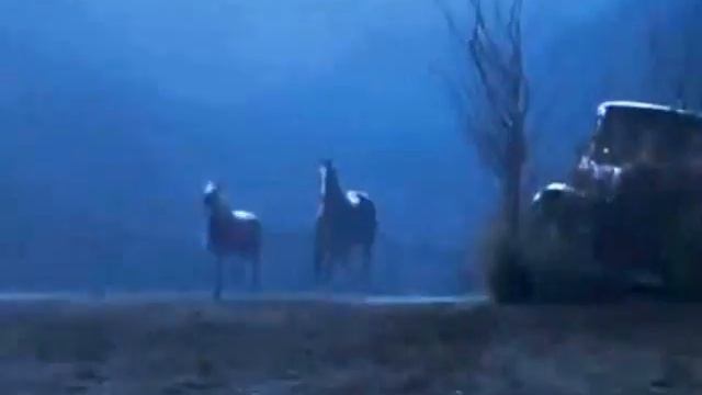 Racing Stripes- Final race смотреть онлайн