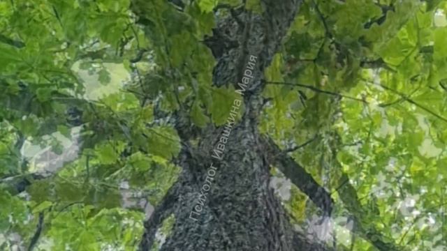 Аутогенная тренировка по методу Шульца смотреть онлайн