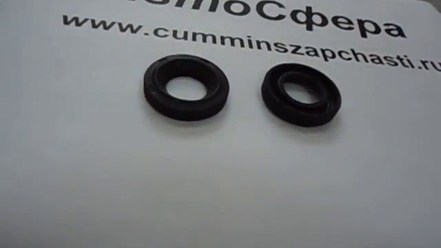 Кольцо уплотнительное форсунки в клапанной крышке 5255313 видео смотреть онлайн