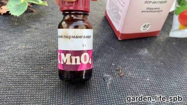 Весенняя обработка ( уход) за Клубникой ? смотреть онлайн