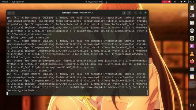 Сборка Python 3.11 с исходного когда на Ubuntu Linux смотреть онлайн