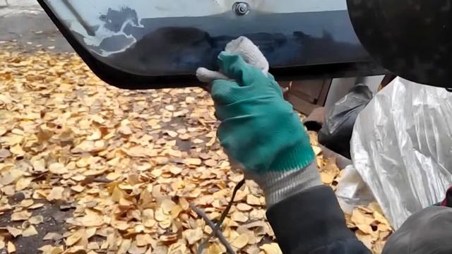 как мы газель красили