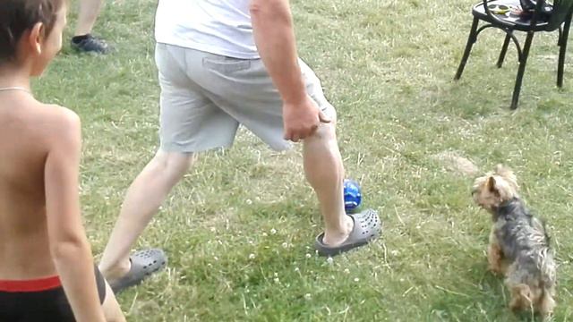 Футбольный рефери смотреть онлайн