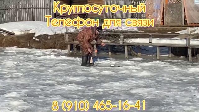 Рыбалка на форель и осетра. смотреть онлайн