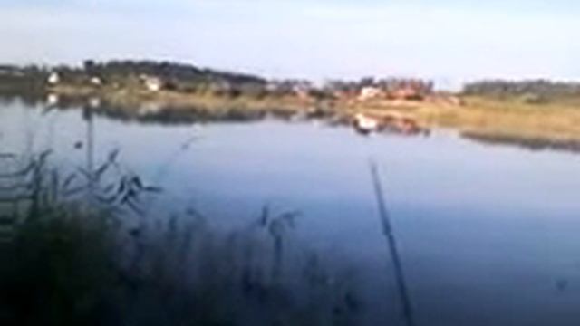 Где ловить Карпа (Рыбалка. МО. Санаторная платформа, пруд) смотреть онлайн