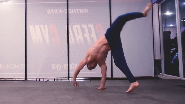 Animal Flow,  Primal Movement, Locomotion (strenght & Mobility Practice)
