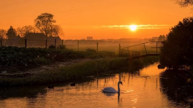 Mantra: Jaya Radha Madhava, Jaya Kunja Bihari * Maha Mantra * Bhakti Yoga ? смотреть онлайн