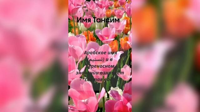 Красивые мусульманские имена для девочек #значениеимени #мусульманскиеимена #женскиеимена #2023 смотреть онлайн