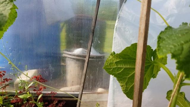 Ремонтные Мастерки