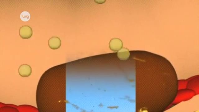 Отрыжка и пукание смотреть онлайн