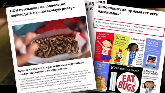 СЪЕШЬ НАСЕКОМОГО, спаси планету. Пища будущего из насекомых или исполнение Библейских пророчеств? смотреть онлайн
