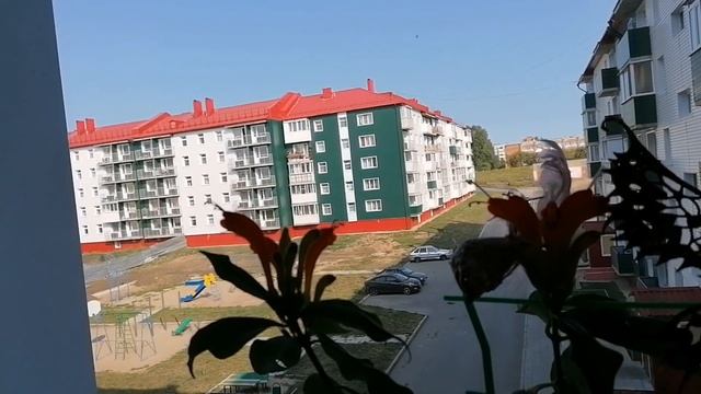 ПЕРВЫЙ ТРИМЕСТР БЕРЕМЕННОСТИ?/МОТИВАЦИЯ НА ГОТОВКУ?/ОБЗОР ПОКУПОК? смотреть онлайн