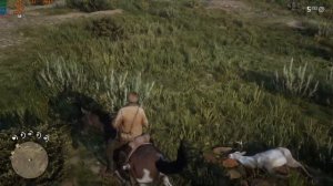 Red Dead Redemption 2 Настройка графики на слабом ПК для 60 fps #RDR #слабыйПК