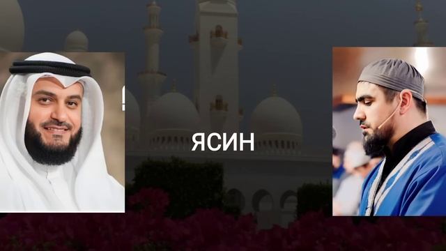 Красивое чтение Сура "Ясин" Сиратулло раупов | Мишари рашид #quran #yasin #ясин #рекомендации смотреть онлайн