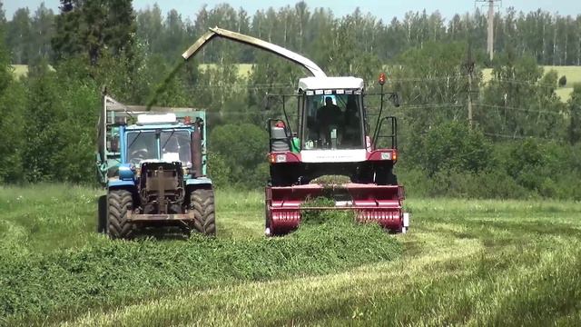 Новости от 09.07.2024 г. г.Янаул смотреть онлайн