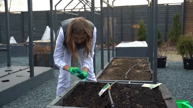 ПЕТРУШКА И УКРОП ВЗОЙДУТ ЩЁТКОЙ | Как вырастить зелень в квартире смотреть онлайн