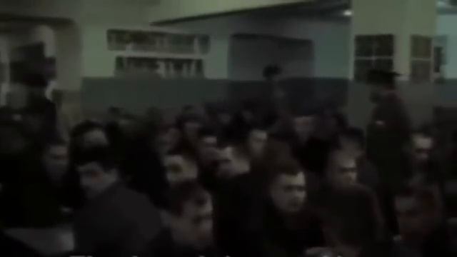 Петух на зоне, опущенный смотреть онлайн