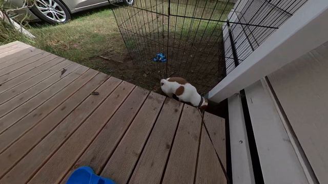 День 94-й. Win готовится к серфингу смотреть онлайн