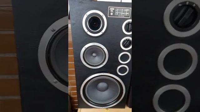 Altus 110 пара акустических колонок винтажного типа