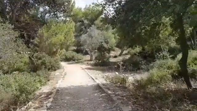 Мандрагора ждет.I go to the mandrake#сад #мандрагора #море#горы#прогулка#Review смотреть онлайн