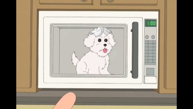 ►ЧТО БУДЕТ ЕСЛИ ЗАСУНУТЬ СОБАКУ В МИКРОВОЛНОВКУ► смотреть онлайн