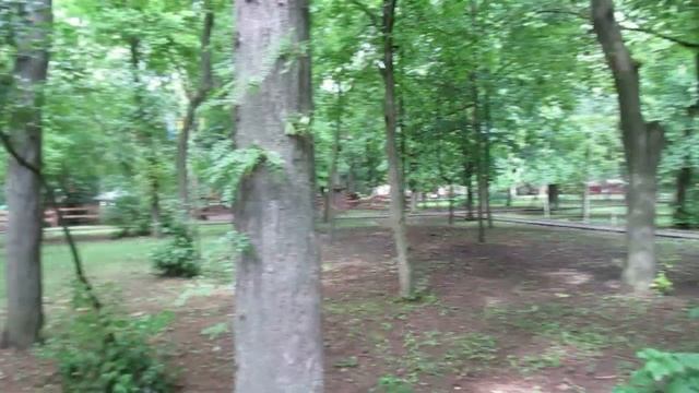 Ростов. Парк Революции после ливня. Ворошиловский и Большая Садовая, еду на велосипеде. Два сюжета. смотреть онлайн