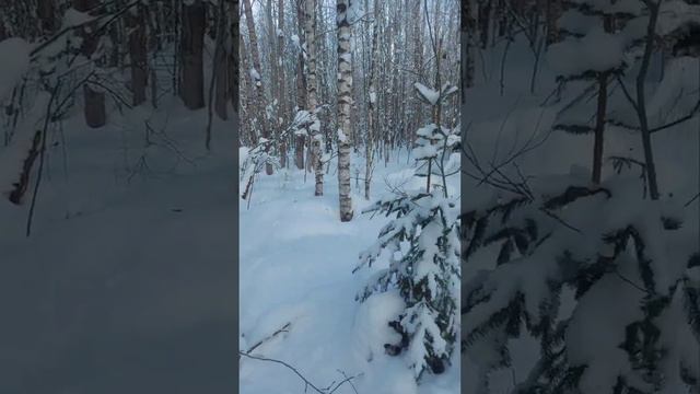 03.02.2022. С Баяном. смотреть онлайн