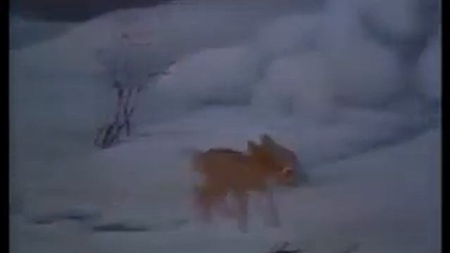 Бэмби смотреть онлайн