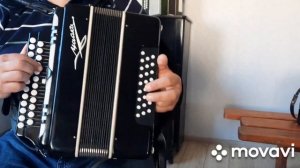 #Разбор песни "Ивушки вы ивушки"#гармонь#