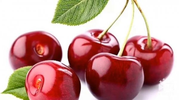 Учим Фрукты и Ягоды как растут фрукты