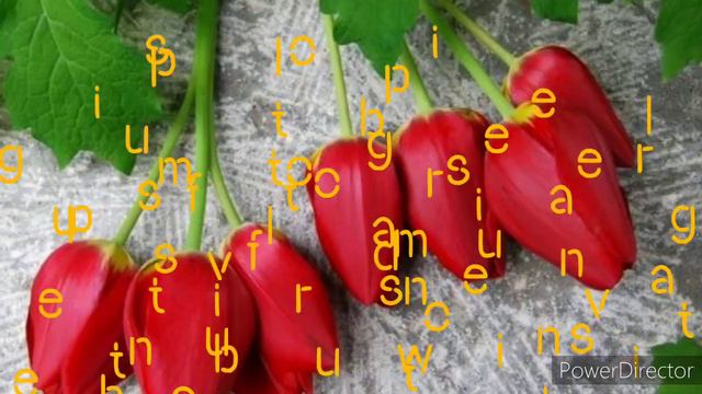tulip flowers collection and fun facts 🌷🌷🌷 смотреть онлайн
