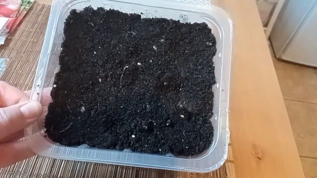 Посев среднерослых томатов в новый грунт. смотреть онлайн