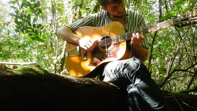 Siren sweep, crickets, fretless 12 string guitar, mower, viburnum wood bow смотреть онлайн