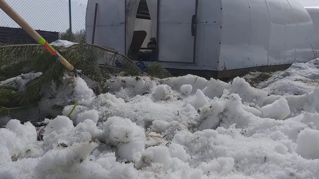 Как ускорить рост и цветение многолетников.😲😲😲 смотреть онлайн