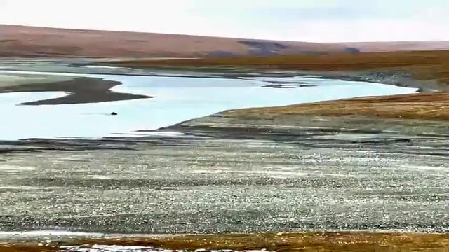 Певица Нина Шацкая опубликовала крышесносное видео с Чукотки смотреть онлайн