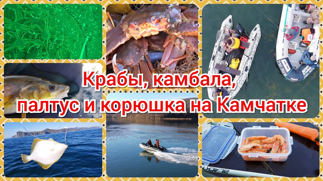 Рыбалка на Камчатке: Камчатские крабы, палтус, камбала, терпуг, навага и корюшка - разом ! смотреть онлайн