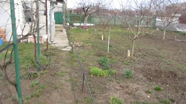 крокусы в марте смотреть онлайн