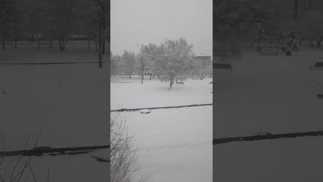 NEW NEWS В КРАСНОЯРСК 29 04 19 😱😱😱😱 смотреть онлайн