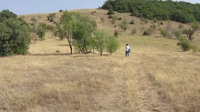 Олег Кустов. Когда человек в пути смотреть онлайн