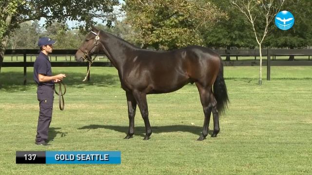 137 - GOLD SEATTLE смотреть онлайн