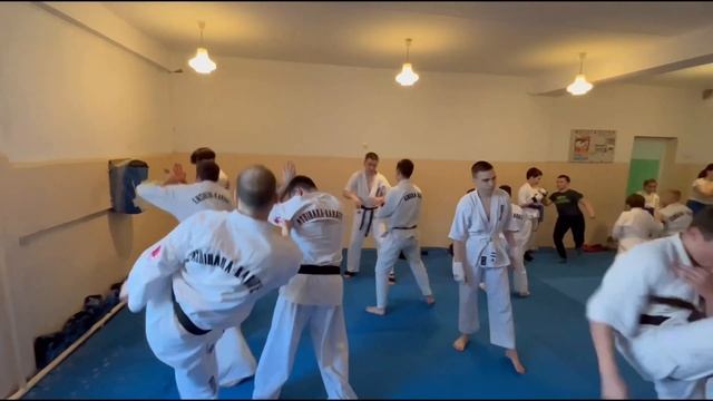 Ashihara Karate Ukraine. Місто Миколаїв, березень 2023 смотреть онлайн