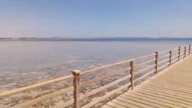 Gravity Sahl Hasheesh смотреть онлайн