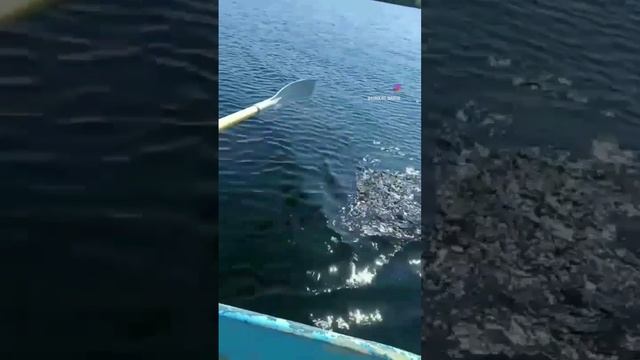 мой отдых Карелия