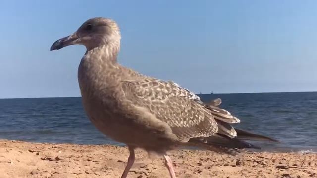 Секреты Природы