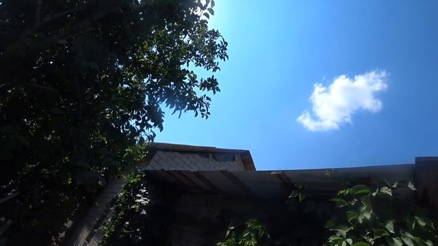 ВЫСОКО,СТРАШНО,ВКУСНО!Пытаюсь подшивать карнизы крыши!Дачная еда на раз два! смотреть онлайн